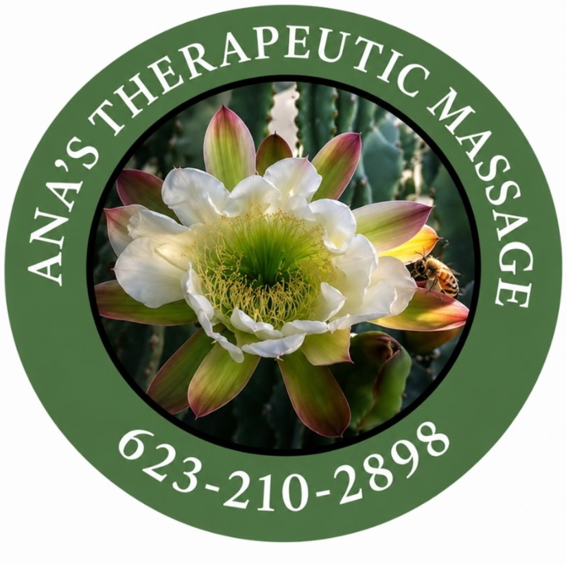 Ana's Therapeutic Massage logo